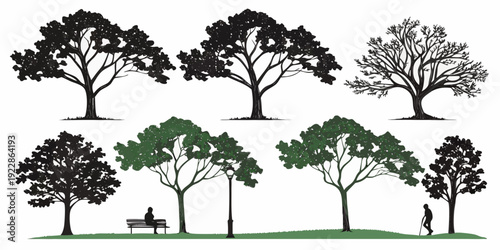 Whimsical black and white illustration of stylized trees in a row along a path