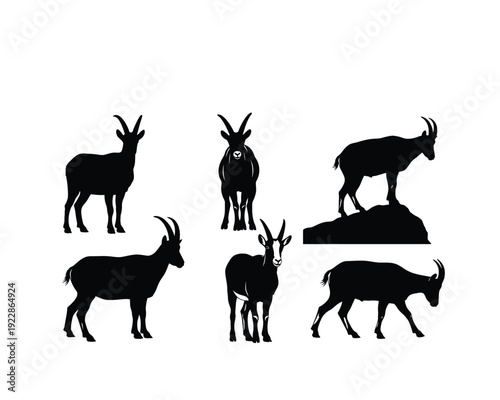 Animal Vector silhouette Design 