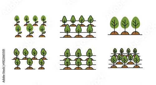 Tree Plantation Line modern bright color illustration