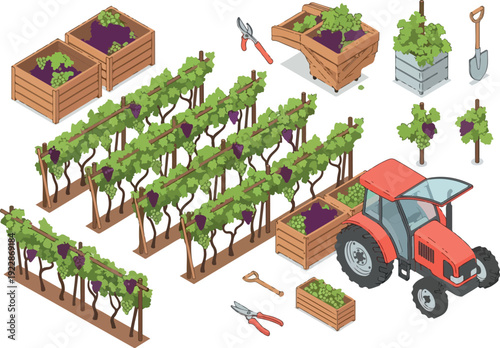 Vineyard tractor harvesting grapes in a lush plantation from an aerial viewpoint