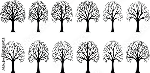 Black silhouette set of twelve deciduous winter trees with bare branches and roots isolated on white background for nature landscape graphic design