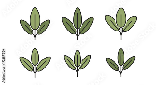 Sage leaf Line art modern abstract color vector