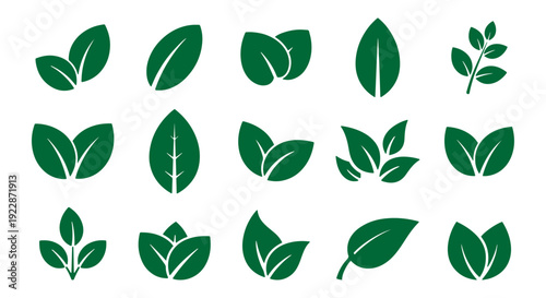 Set of green leaf icons isolated on white background for eco friendly nature design