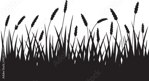 Black Grass and Cattails Silhouette on White Background