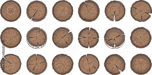 Tree Trunk Cross Section Wood Log Rings Collection Vector
