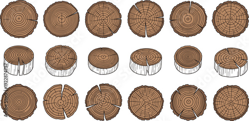 Wood Log Cross Section Tree Rings Collection Vector Illustration