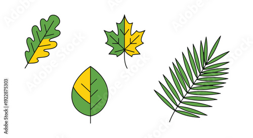 Summer leaf Line art abstract vivid tone vector