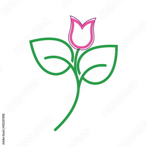 Plumeria flower lotus beauty logo