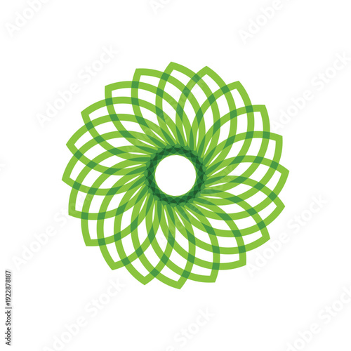 Plumeria flower lotus beauty logo