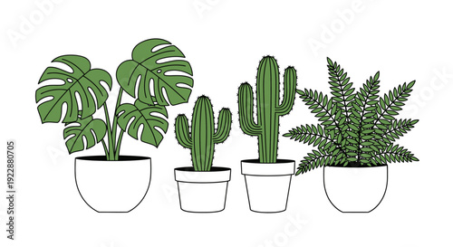 Set of potted plants including monstera, cactus, and fern in white pots