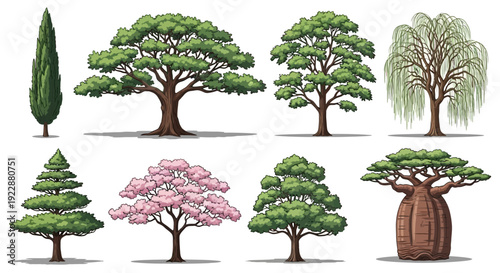 Diverse tree collection for landscaping and design projects
