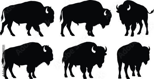 American bison buffalo silhouettes collection, detailed wild west animal vector illustration isolated on white background, prairie wildlife mammal set design.