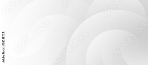 Abstract illustration of layered circles in a modern digital art composition viewed from directly above