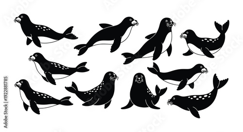 A collection of black silhouette seals playfully swimming in a group