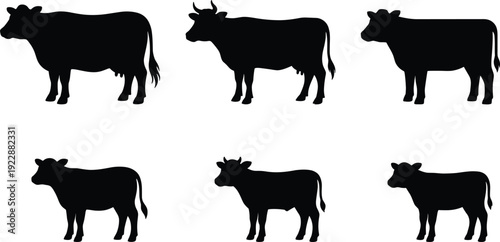 Cow silhouette collection featuring farm cattle in side view poses isolated on white background, livestock animal illustration set for agriculture and rural design projects.