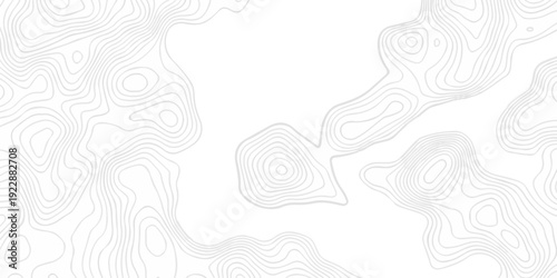 Topographic seamless map pattern with contour lines. Abstract geographic elevation design, lines sea map modern white background.