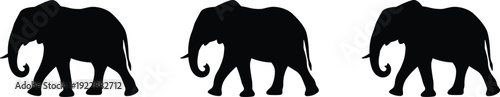 Elephant silhouette collection featuring large African wildlife animals in side view isolated on white background, safari nature illustration set for design projects.