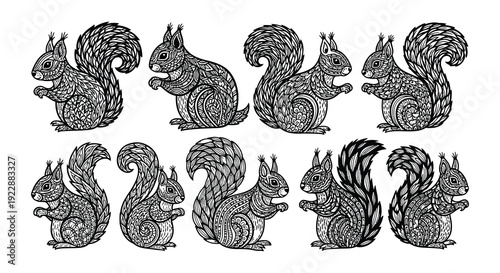Intricate zentangle style illustrations of squirrels in varying poses