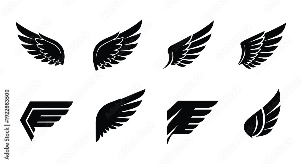 Fototapeta premium Collection of black wing designs and feather illustrations on white background