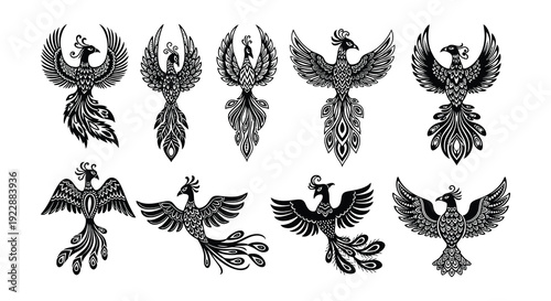 A collection of ornate black phoenix designs in various stylized poses
