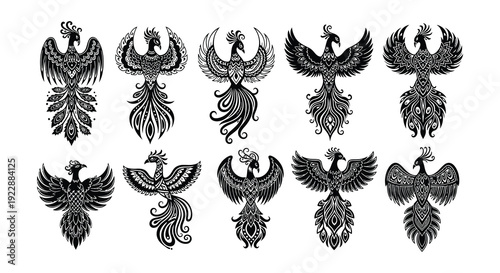 A collection of ornate black phoenix designs in various stylized poses