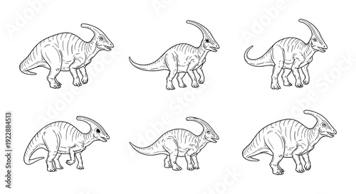 Line drawing depicts several parasaurolophus dinosaurs in varying sizes