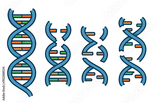 A vector illustration showing four DNA double helix structures on a black background. The first strand is intact, while the others are broken and fragmented, representing genetic damage.