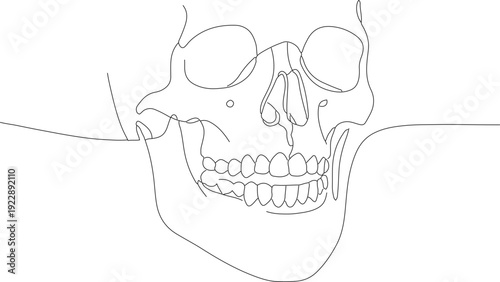 Minimalist One Line Drawing Human Skull Anatomy Graphic Illustration