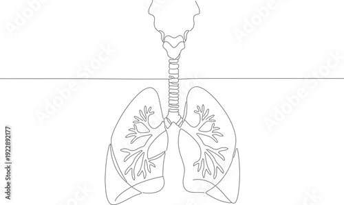 Outline Line Art Lung Human Anatomy Respiratory System Medical Illustration