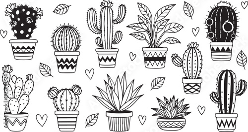 A collection of various cacti and plants in pots with decorative elements.