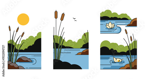 Wetland Line art colorful shape vector illustration