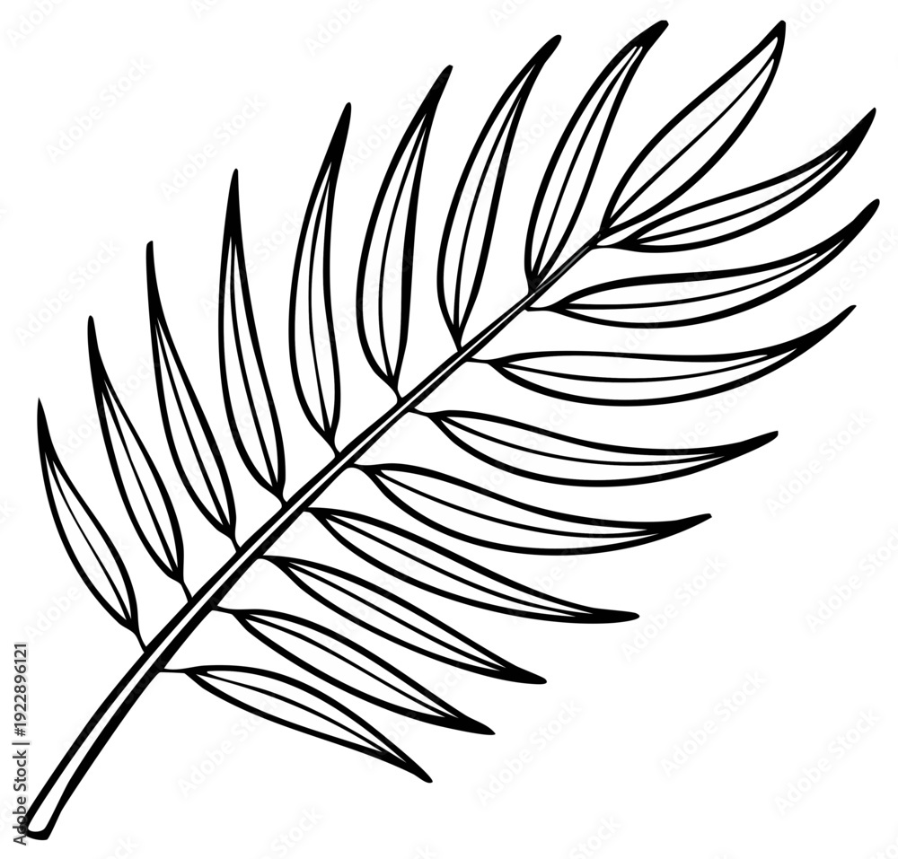 Obraz premium Elegant Line Drawing of a Palm Frond for Decoration, Isolated Against White, Adding a Tropical Touch to Various Design Projects
