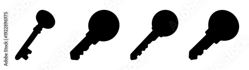 Set of black keys in different positions on white background vector illustration
