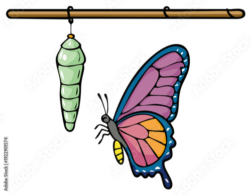 Cartoon Butterfly Emerging from Green Chrysalis Hanging from a Branch Nature Illustration