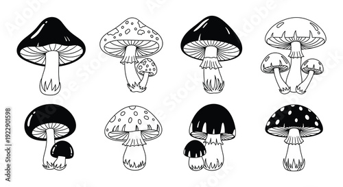 Black and white illustration depicting a collection of various mushrooms