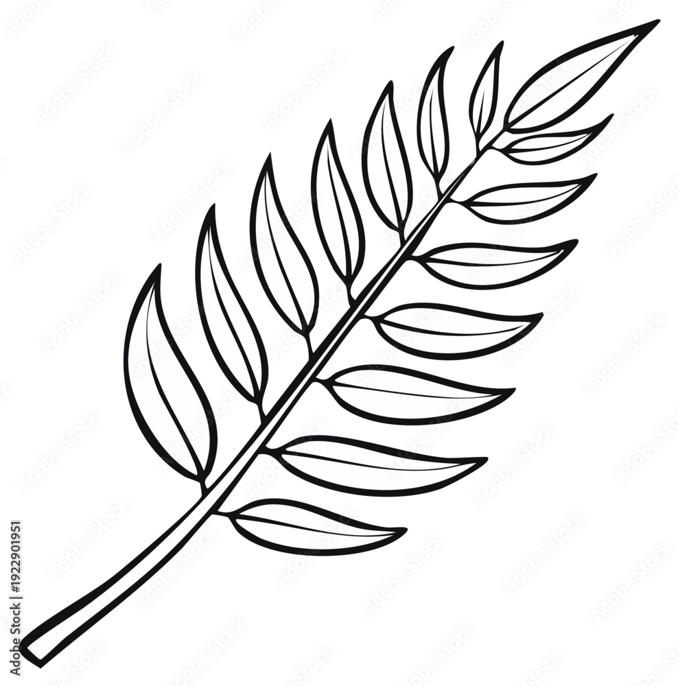 Obraz premium Simple outline drawing of a delicate palm frond with many oval shaped leaves on a stem