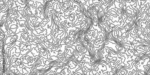 Vintage seamless black and white floral pattern with damask ornament elements for elegant wallpaper design and vector illustration decoration