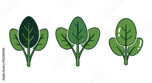 Spinach baby leaf minimal elegant tone vector