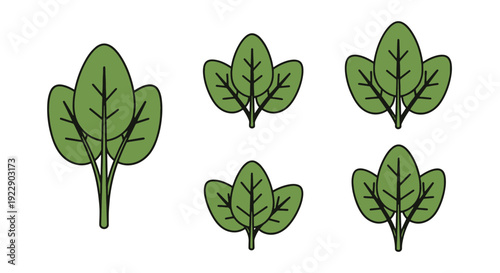 Spinach leaf Line dynamic creative style illustration
