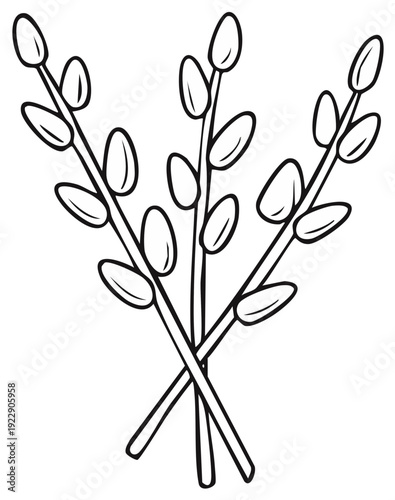 Minimalist black and white line art illustration of three pussy willow branches with catkins for spring