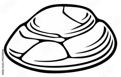 Isolated Outline Drawing of a Seashell on White Background