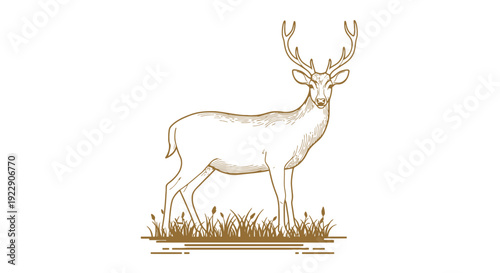 Elegant Stag Engraving Art in Golden Lines on Grey Background