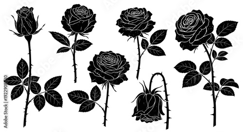A collection of elegant black silhouette roses with stems and leaves arranged against a stark white background high quality