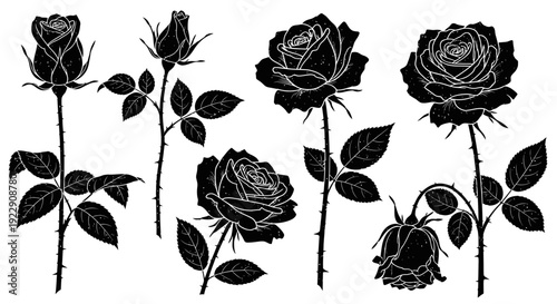 A striking black and white silhouette illustration depicts six roses in various stages of bloom showcasing elegant floral design high quality