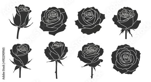A collection of eight black silhouette roses in various bloom stages presented against a clean white background high quality