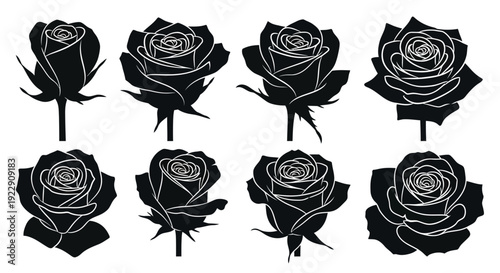 A vibrant abstract composition of overlapping geometric shapes and flowing lines suggesting growth and innovation high quality professional detailed