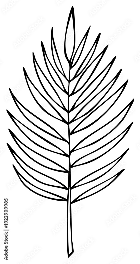 Fototapeta premium Minimalist Tropical Palm Leaf Line Art Illustration Hand Drawn Style Element