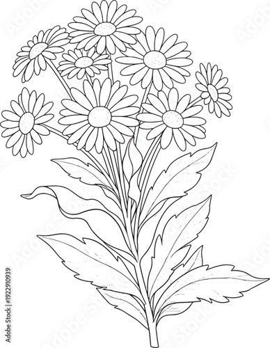 Daisies Bouquet Outline - Black and White Vector Illustration for Coloring or Design