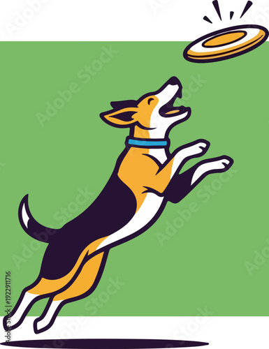 Dog leaping to catch a frisbee in mid-air during a sunny day.