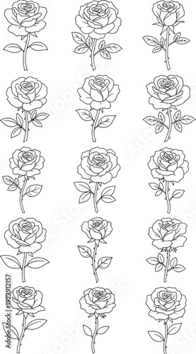 Hand drawn floral vector set with roses leaves and vintage seamless pattern design
